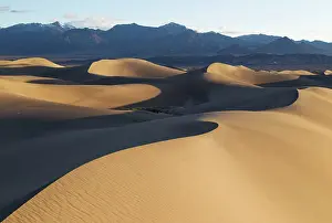 Amargosa: Mesquite Flat Sand Dunes and Amargosa Range in