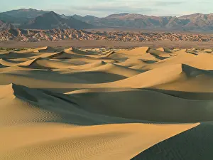 Amargosa: Mesquite Flat Sand Dunes and Amargosa Range in