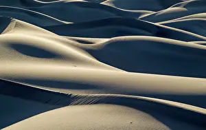 Mesquite: Detail of the Mesquite Flat Sand Dunes in the Death Valley