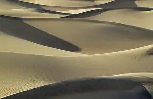 Mesquite: Detail of the Mesquite Flat Sand Dunes in the evening