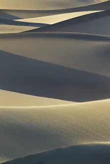 Mesquite: Detail of the Mesquite Flat Sand Dunes in the evening