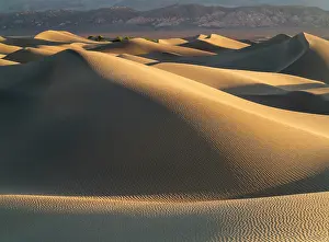 Amargosa: Mesquite Flat Sand Dunes and the foothills of the