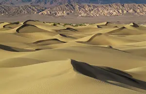 Amargosa: Mesquite Flat Sand Dunes and the foothills of the