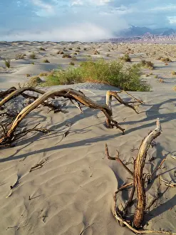 Amargosa: Mesquite Flat Sand Dunes and Grapevine Mountains