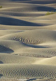 Scattered: Detail of the Mesquite Flat Sand Dunes with scattered