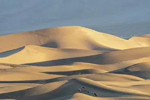 Death: Mesquite Flat Sand Dunes at sunrise, Death Valle