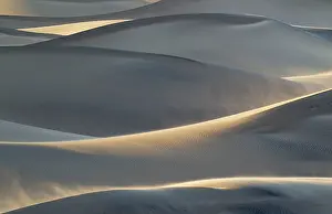 Mesquite: Detail of the Mesquite Flat Sand Dunes at a windy