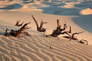 Mojave: Mesquite Flats Sand Dunes, Sand Dunes, Death Valley