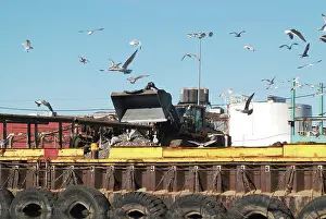 Recycling: Metal Recycling, newtown Creek, NYC
