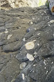 Metamorphosed: Metamorphic Rock in Death Valley