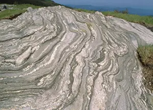 Fold: Metamorphosed Rock