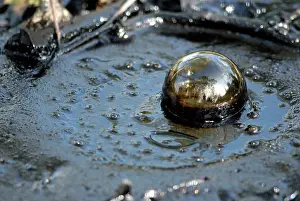 Brea: Methane Bubble