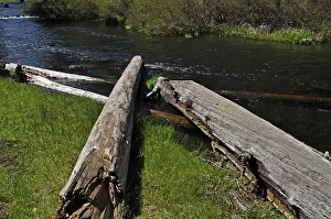 Fishery: Metolius River Fish Habitat Enhancement