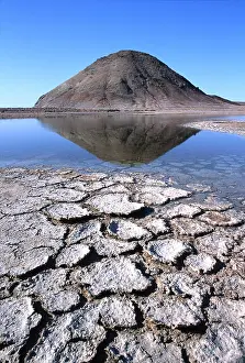 Stromatolite: Mexico - Living Stromatolites