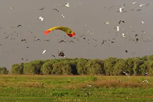 Aeroplane: Microlight - in flight over the wetlands of Fogg Dam