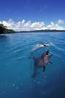 Truncatus: Micronesia, Palau, World Heritage Site
