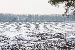 Beacon: Middle Age track roads in snow through heathland