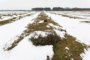 Ages: Middle Age track roads in snow through heathland