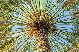 Oman: Middle East, Arabian Peninsula, Oman, Ad Dakhiliyah