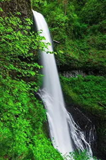 Russ: Middle North Falls, Silver Falls State Park, Oregon