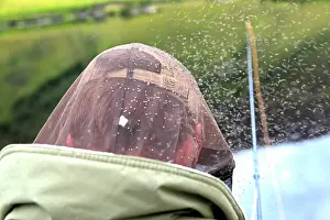 Midges: Midges - attacking Fisherman