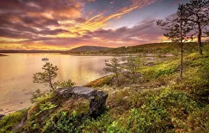 Midnight: Midnight sun in midsummer by the fjord, dense vegetation