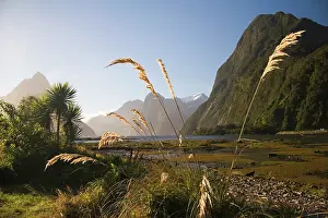 Milford: Milford Sound, New Zealand. Walking through