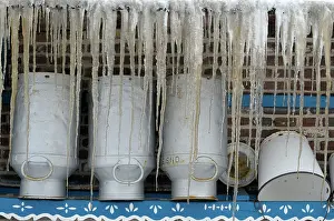 Icicles: Milk cans with icicles