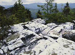 Appalachian: Milky Quartz Boulders