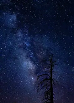 Star: Milky way over the Carson National Forest, Tres
