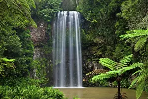 Atherton: Milla Milla Waterfall in the Atherton Tablelands