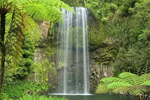 Plunges: Millaa Millaa Falls - idyllic waterfall plunges