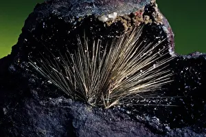 Needles: Millerite from Antwerp, New York