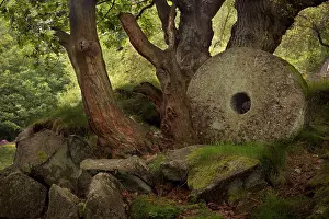 Finished: Millstone abandoned and never finished in Padley