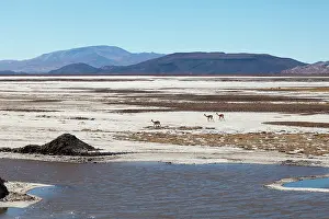 Resource: Minera del Altiplano, lithium mine at saltlake