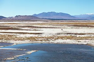 Resource: Minera del Altiplano, lithium mine at saltlake