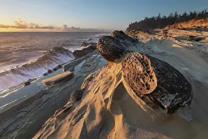 Sandstone: Mineral concretions at Shore Acres State Park, Oregon