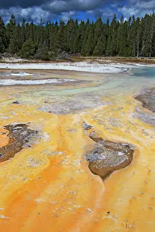 Metals: Mineral Deposits from Hot SpringsUpper Geyser Basin