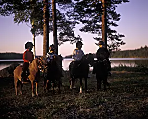 Mini: Mini pony rides under the midnight sun Sweden