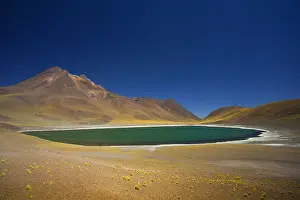 Atacama: Miniques lagoon - Los Flamencos National Reserve