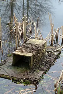 Monitoring: Mink Raft - in water - to monitor presence of mink