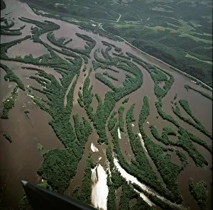 Chien: The Mississippi River