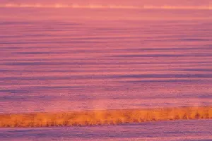 Formed: Mist formed over the open water due to temperature differenc