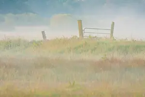 Drentsche: Mist lingers over moist meadows and farmland fence