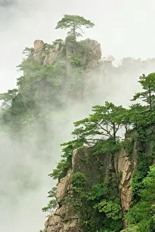 Shan: Mist among the peaks and valleys of Grand