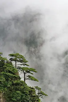 Shan: Mist among the peaks and valleys of Grand