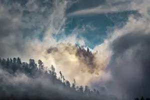 Adam: Mist and sunlight in the mountains, Great Smoky