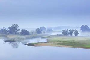 Contemplation: Mist at sunrise at the UNESCO Biosphere Reserve