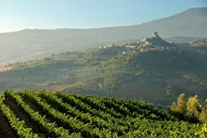 D Orcia: Misty dawn overlooking Castello di Ripa