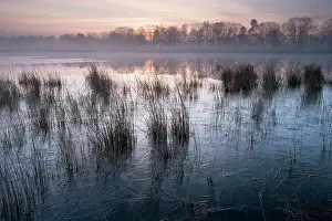 Thin: Misty sunrise over a fen with a thin layer of ice in the for